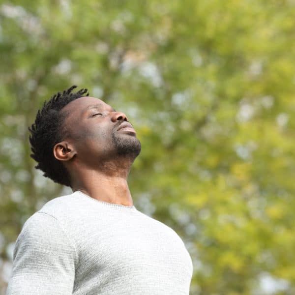 The Natural Heart; forest bathing and eco therapy workshop