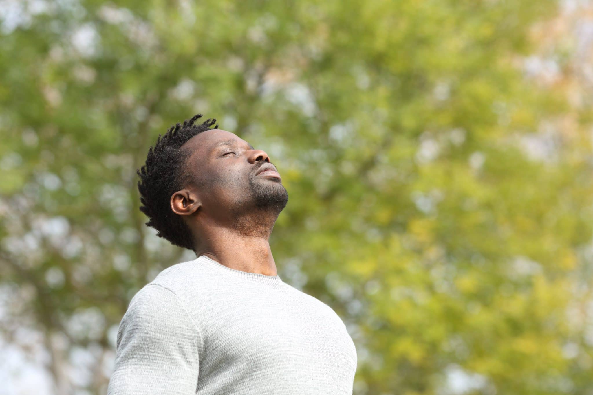 The Natural Heart; forest bathing and eco therapy workshop